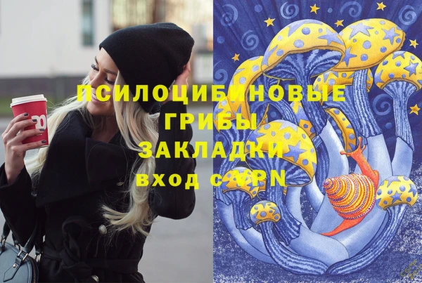 таблы Алзамай
