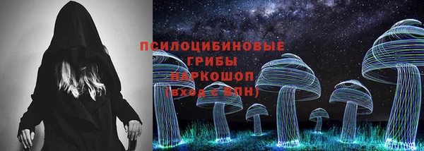 мяу мяу мука Гусь-Хрустальный