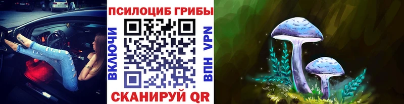 Псилоцибиновые грибы мицелий  Нариманов 
