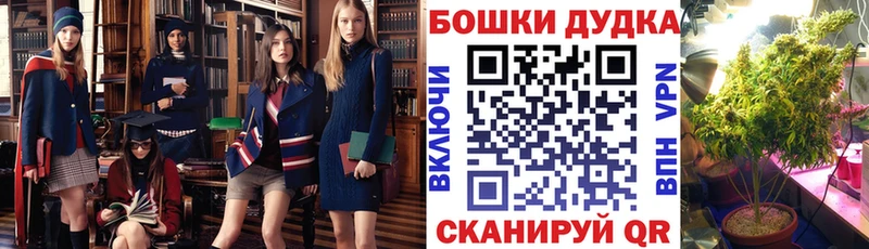 Канабис Bruce Banner  мега ссылки  Нариманов 